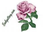 "Розовая роза"