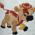 Children