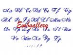 Set of 60 Machine Embroidery Designs