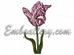 R160_2 (image)_0.jpg
